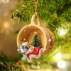 Australian Shepherd Sleeping In A Tiny Cup Christmas Holiday Two Sided Ornament – Best Gifts for Dog Lovers