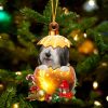 Bearded Collie In Golden Egg Christmas Ornament – Car Ornament – Unique Dog Gifts For Owners