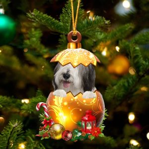 Bearded Collie In Golden Egg Christmas…