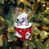 Bedlington Terrier In Snow Pocket Christmas…