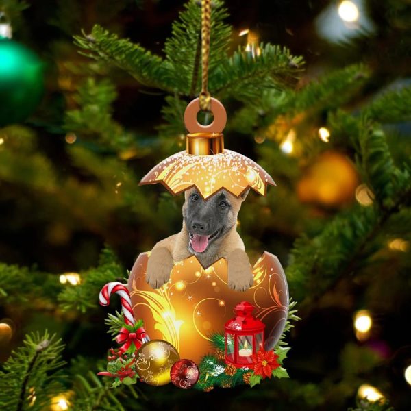 Belgian-Shepherd In Golden Egg Christmas Ornament – Car Ornament – Unique Dog Gifts For Owners