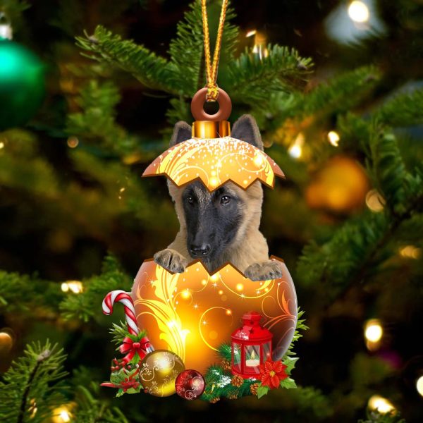 Belgian Tervuren In Golden Egg Christmas Ornament – Car Ornament – Unique Dog Gifts For Owners