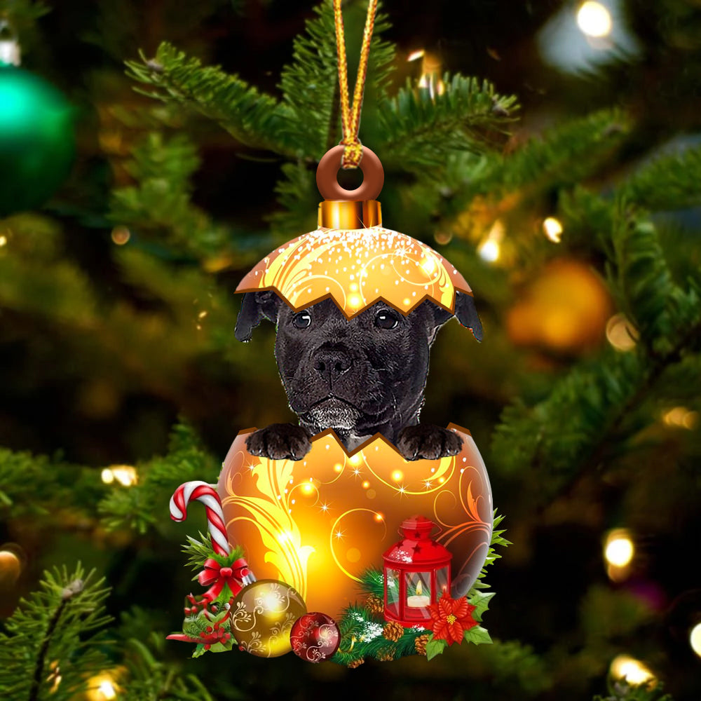 Black American Staffordshire Terrier In Golden Egg Christmas Ornament - Acrylic Dog Ornament - Gifts For Dog Lovers