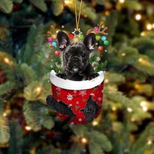 Black French Bulldog In Snow Pocket…