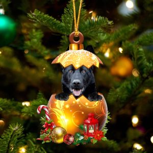 Black German Shepherd In Golden Egg…