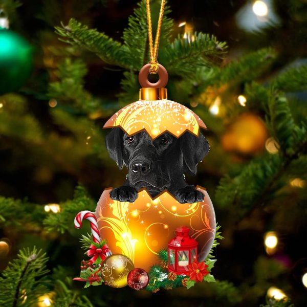 Black Labrador In Golden Egg Christmas Ornament – Car Ornament – Unique Dog Gifts For Owners