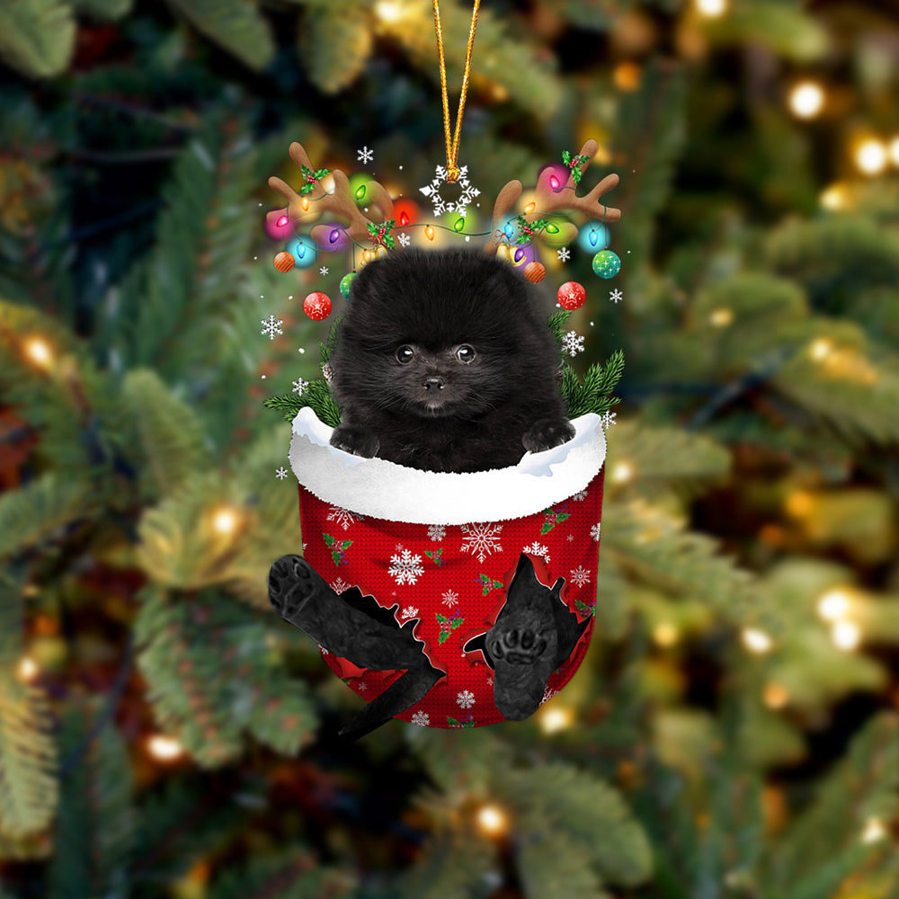 Black Pomeranian In Snow Pocket Christmas Ornament - Two Sided Christmas Plastic Hanging