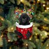 Black Toy Poodle In Snow Pocket Christmas Ornament – Two Sided Christmas Plastic Hanging