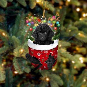 Black Toy Poodle In Snow Pocket…