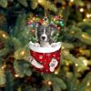 Blue Nose Pitbull In Snow Pocket Christmas Ornament – Two Sided Christmas Plastic Hanging