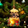 Boerboel In Golden Egg Christmas Ornament – Car Ornament – Unique Dog Gifts For Owners