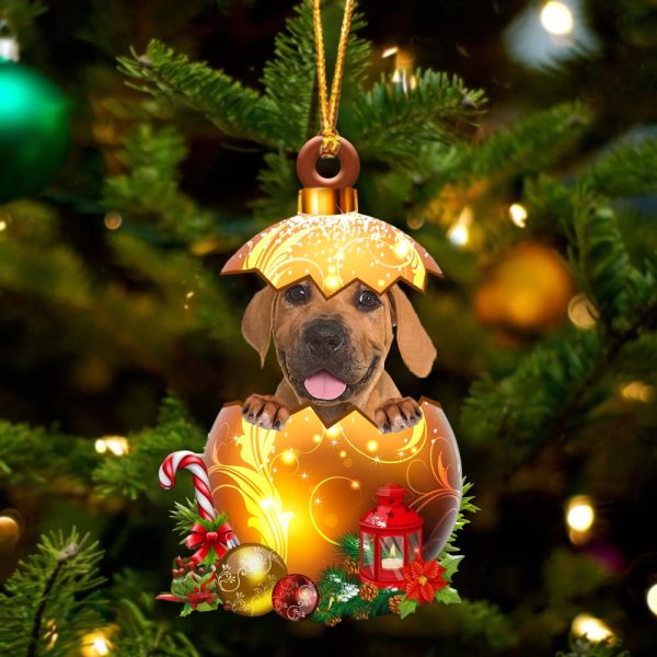 Boerboel In Golden Egg Christmas Ornament – Car Ornament – Unique Dog Gifts For Owners