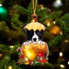 Border Collie In Golden Egg Christmas Ornament – Car Ornament – Unique Dog Gifts For Owners