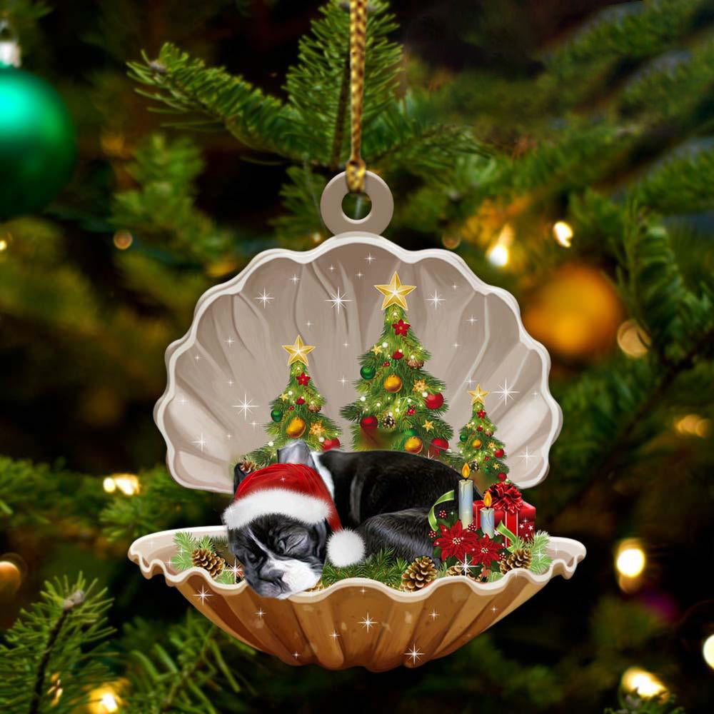 Boston Terrier3 - Sleeping Pearl in Christmas Two Sided Ornament - Christmas Ornaments For Dog Lovers