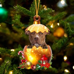 Brown Pitbull In Golden Egg Christmas…