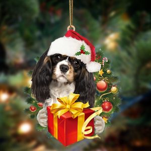 Cavalier King Charles Spaniel Give Gifts…