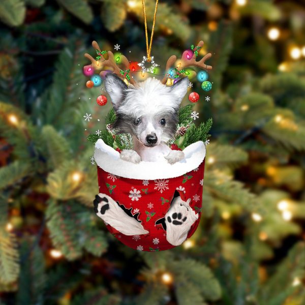 Chinese Crested Dog In Snow Pocket Christmas Ornament – Two Sided Christmas Plastic Hanging