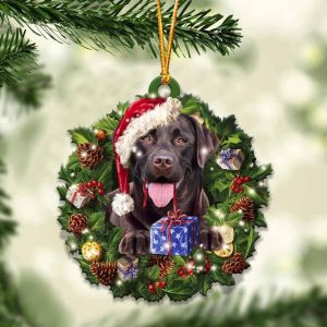 Chocolate Labrador Retriever And Christmas Ornament…