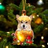 Corgi In Golden Egg Christmas Ornament – Car Ornament – Unique Dog Gifts For Owners