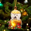 Cream Bichon Frise In Golden Egg Christmas Ornament – Car Ornament – Unique Dog Gifts For Owners