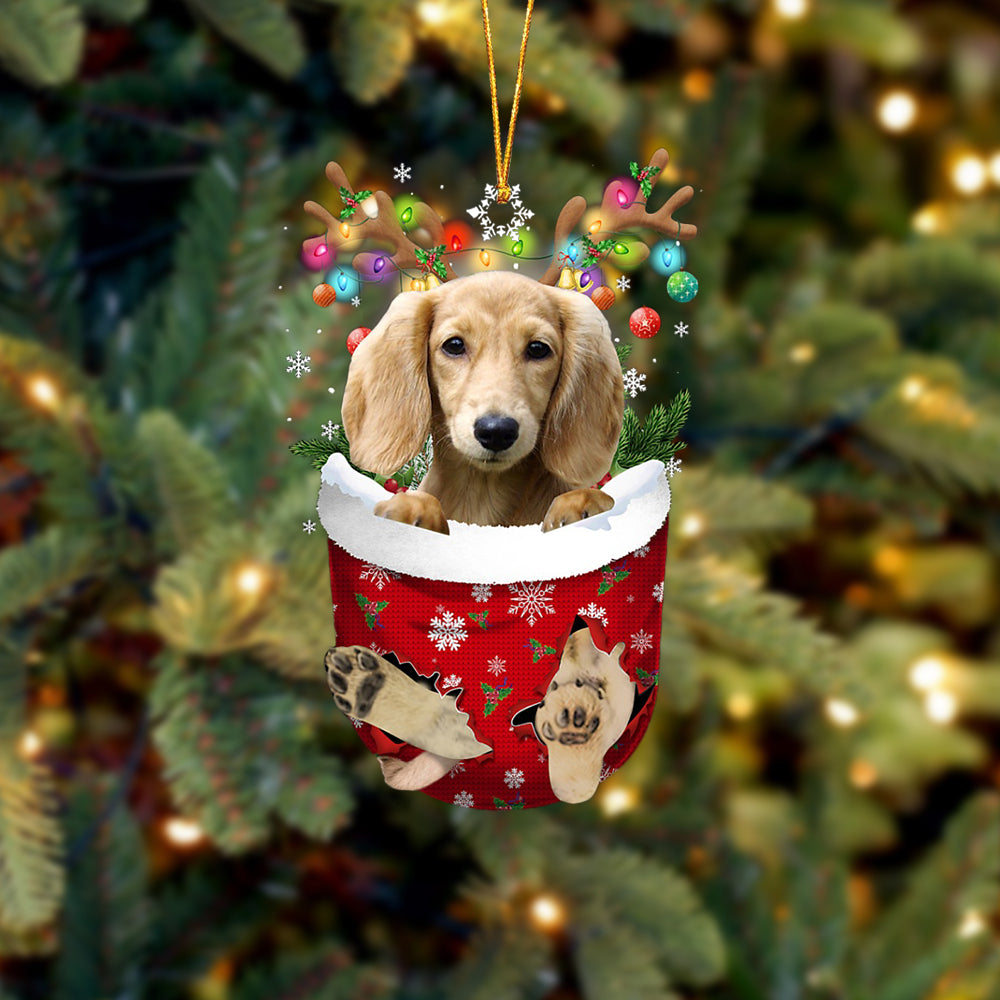 Cream Lng Haired Dachshund In Snow Pocket Christmas Ornament - Two Sided Christmas Plastic Hanging
