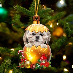 Cream Shih Tzu In Golden Egg…