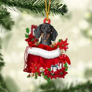 Dachshund 2 In Gift Bag Christmas…