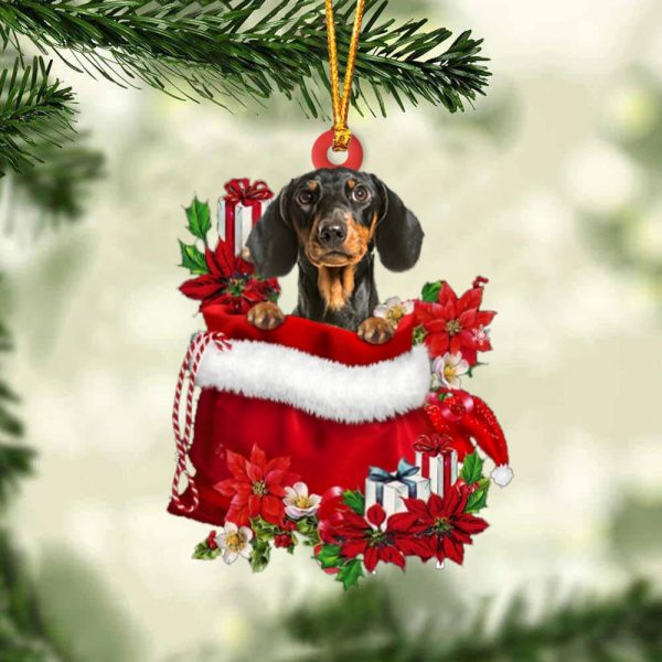 Dachshund 3 In Gift Bag Christmas Ornament – Car Ornaments – Gift For Dog Lovers