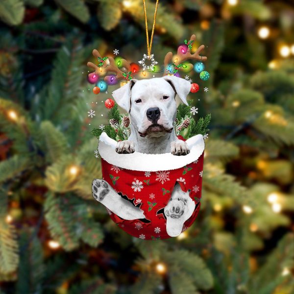 Dogo Argentino In Snow Pocket Christmas Ornament – Two Sided Christmas Plastic Hanging