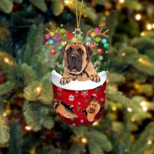 English Mastiff 1 In Snow Pocket…