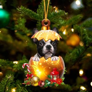French Bulldog .In Golden Egg Christmas…