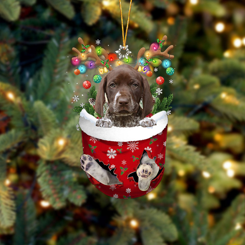 German Shorthaired Pointer In Snow Pocket Christmas Ornament - Two Sided Christmas Plastic Hanging
