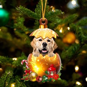 Golden Retriever2 In Golden Egg Christmas…