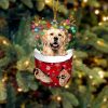 Golden Retriever 2 In Snow Pocket Christmas Ornament – Two Sided Christmas Plastic Hanging