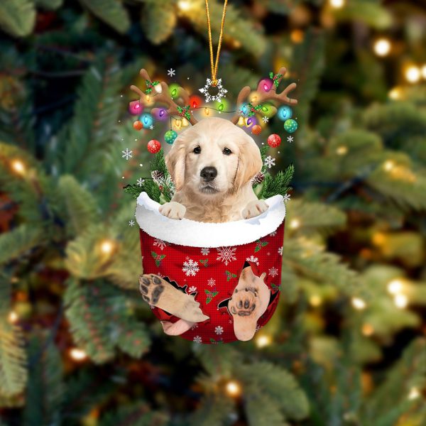 Golden Retriever In Snow Pocket Christmas Ornament – Two Sided Christmas Plastic Hanging