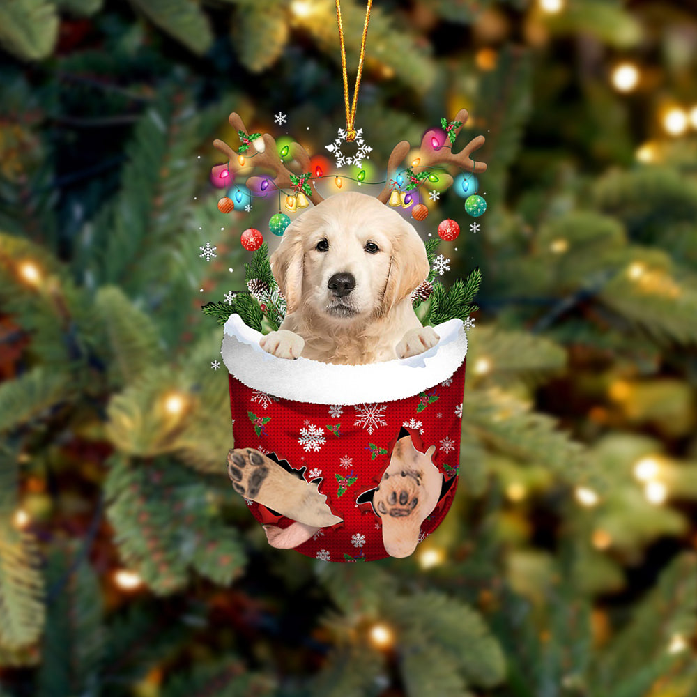 Golden Retriever In Snow Pocket Christmas Ornament - Two Sided Christmas Plastic Hanging