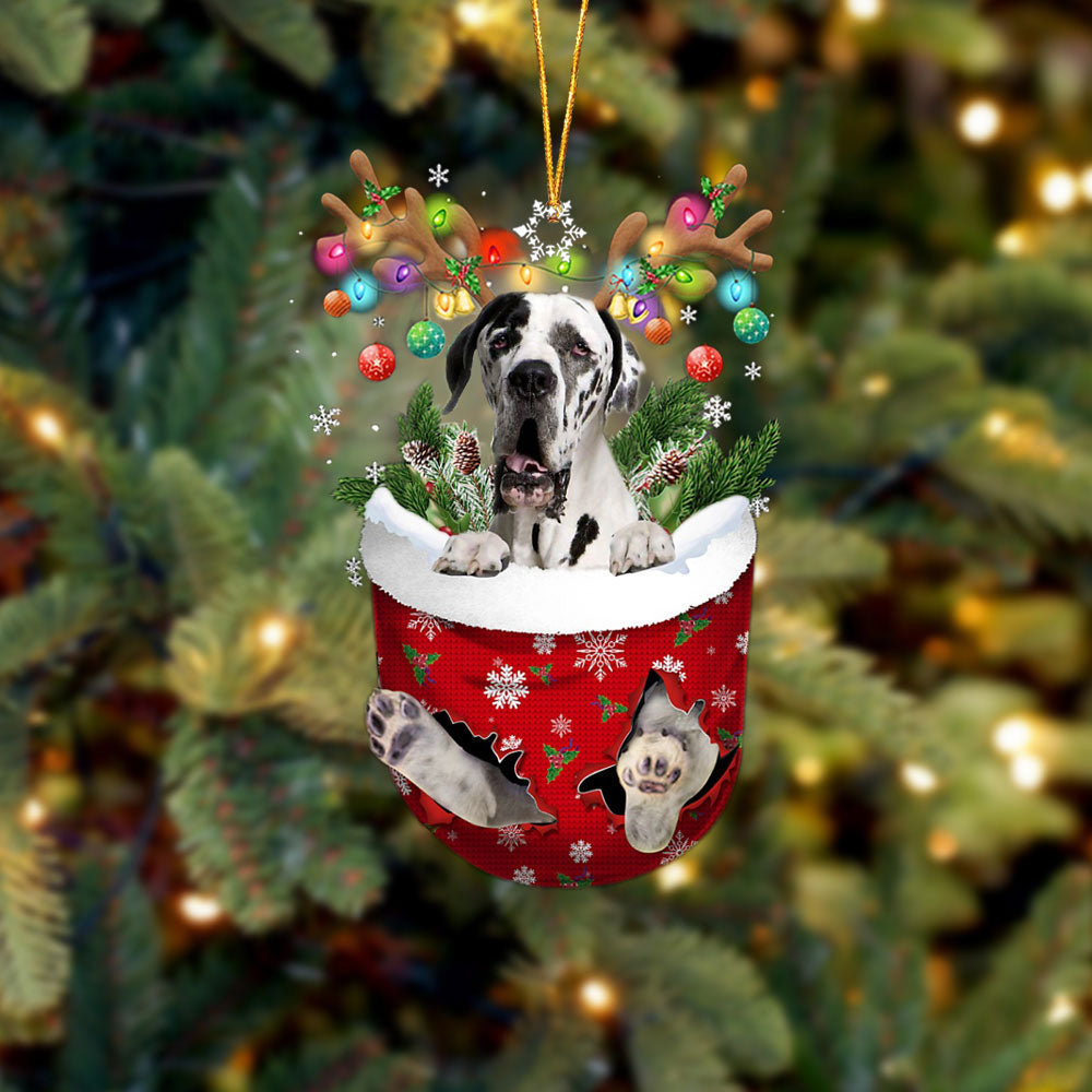 Great Dane 2 In Snow Pocket Christmas Ornament - Two Sided Christmas Plastic Hanging