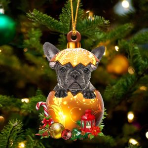 Grey French Bulldog In Golden Egg…