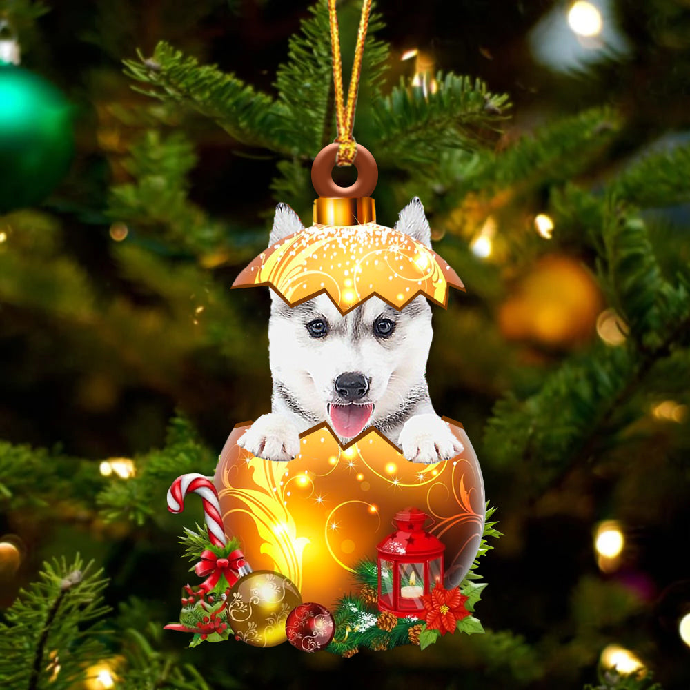 Husky In Golden Egg Christmas Ornament - Acrylic Dog Ornament - Gifts For Dog Lovers