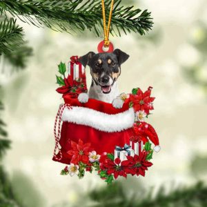 Jack Russell Terrier In Gift Bag…