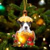 Jack Russell Terrier In Golden Egg Christmas Ornament – Car Ornament – Unique Dog Gifts For Owners