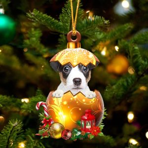 Jack Russell Terrier In Golden Egg…