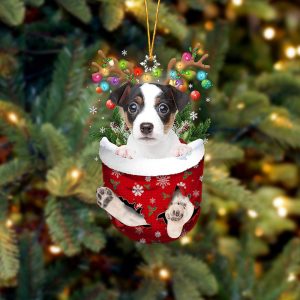 Jack Russell Terrier In Snow Pocket…