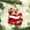 Labrador Retriever In Gift Bag Christmas…
