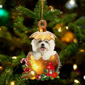 Maltese In Golden Egg Christmas Ornament…