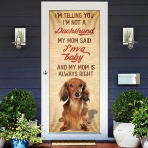 My Mom Said I m A Baby Dachshund Door Cover Xmas Outdoor Decoration Gifts For Dog Lovers 2