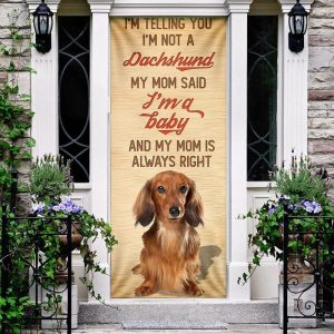 My Mom Said I m A Baby Dachshund Door Cover Xmas Outdoor Decoration Gifts For Dog Lovers 3