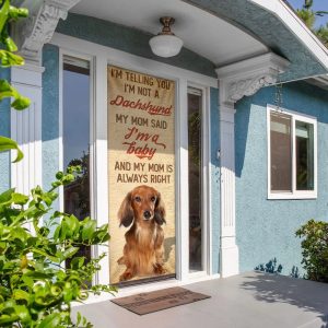 My Mom Said I m A Baby Dachshund Door Cover Xmas Outdoor Decoration Gifts For Dog Lovers 5