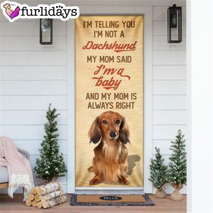 My Mom Said I m A Baby Dachshund Door Cover Xmas Outdoor Decoration Gifts For Dog Lovers 6