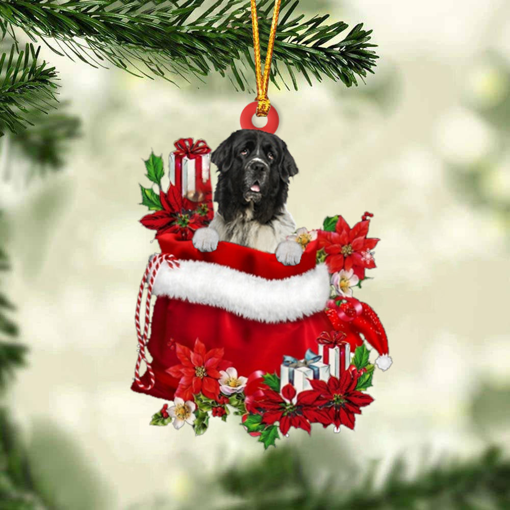 Newfounderland In Gift Bag Christmas Ornament - Car Ornaments - Gift For Dog Lovers